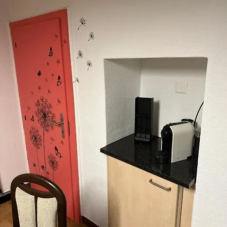 Sirogn House * Gordola